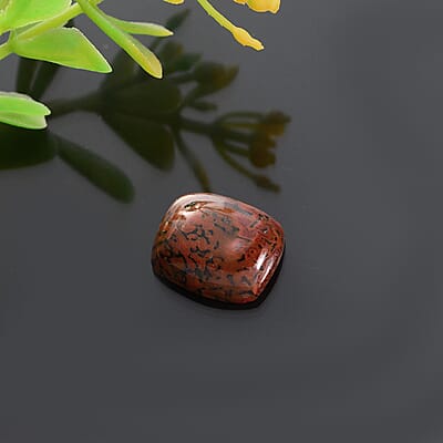 Dino Gem Bone (Cush 12x10 mm) 4.90 ctw