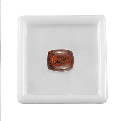 Dino Gem Bone (Cush 12x10 mm) 4.90 ctw