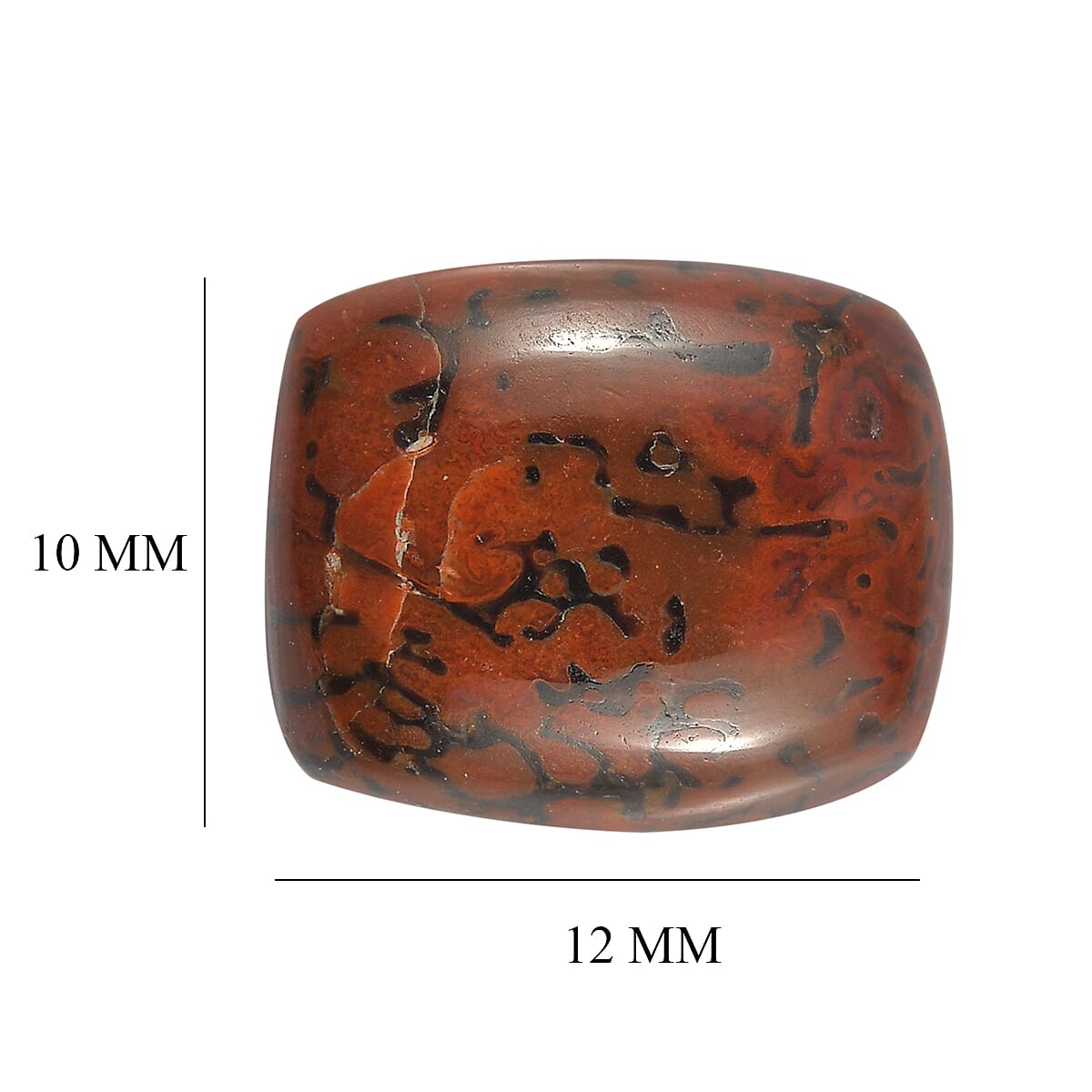 Dino Gem Bone (Cush 12x10 mm) 4.90 ctw