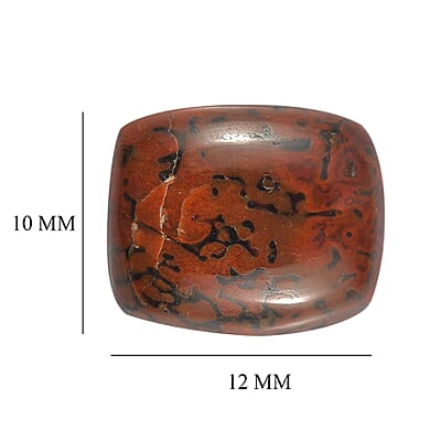 Dino Gem Bone (Cush 12x10 mm) 4.90 ctw