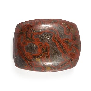Dino Gem Bone (Cush 9x7 mm) 1.64 ctw