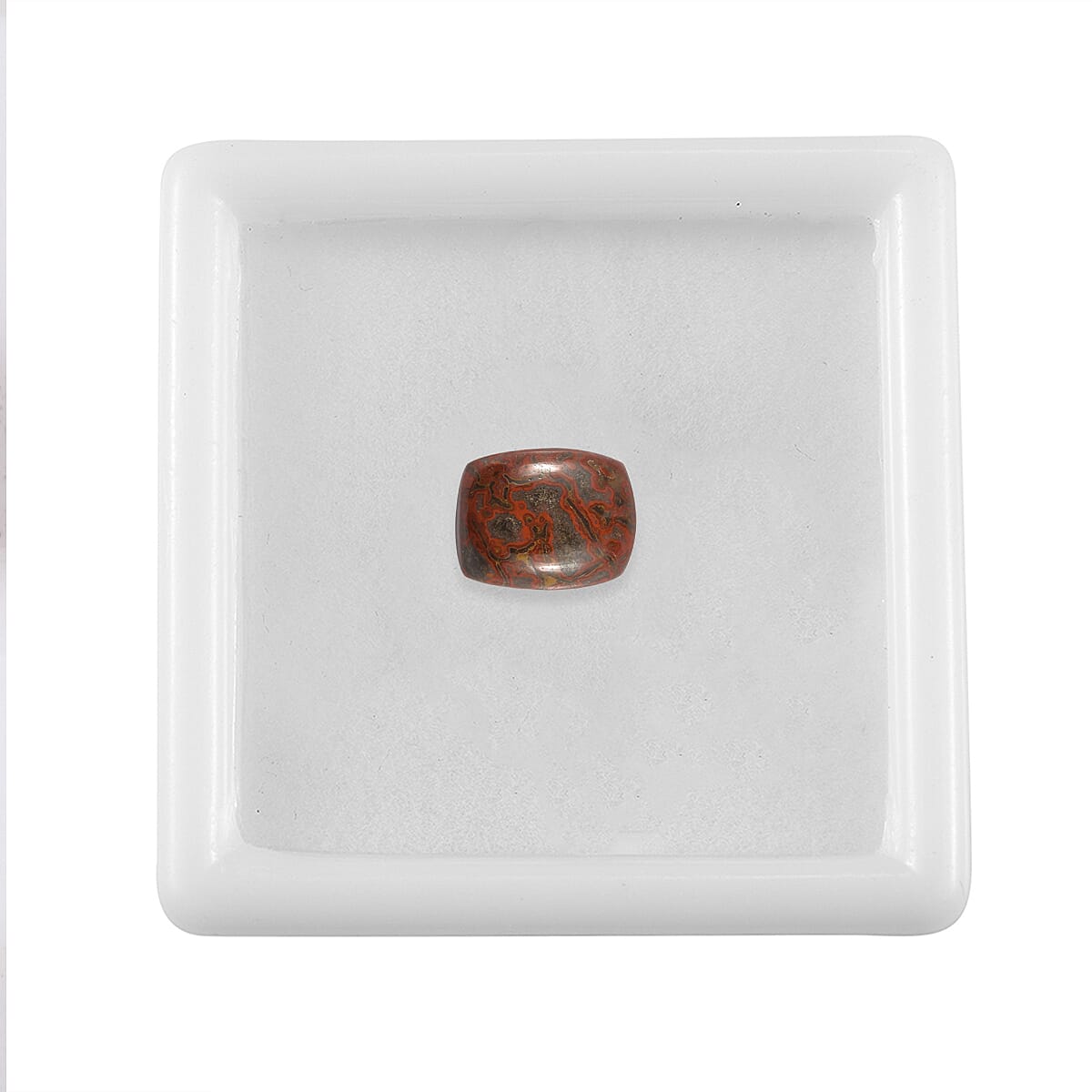 Dino Gem Bone (Cush 9x7 mm) 1.64 ctw image number 3