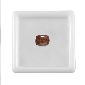 Dino Gem Bone (Cush 9x7 mm) 1.64 ctw