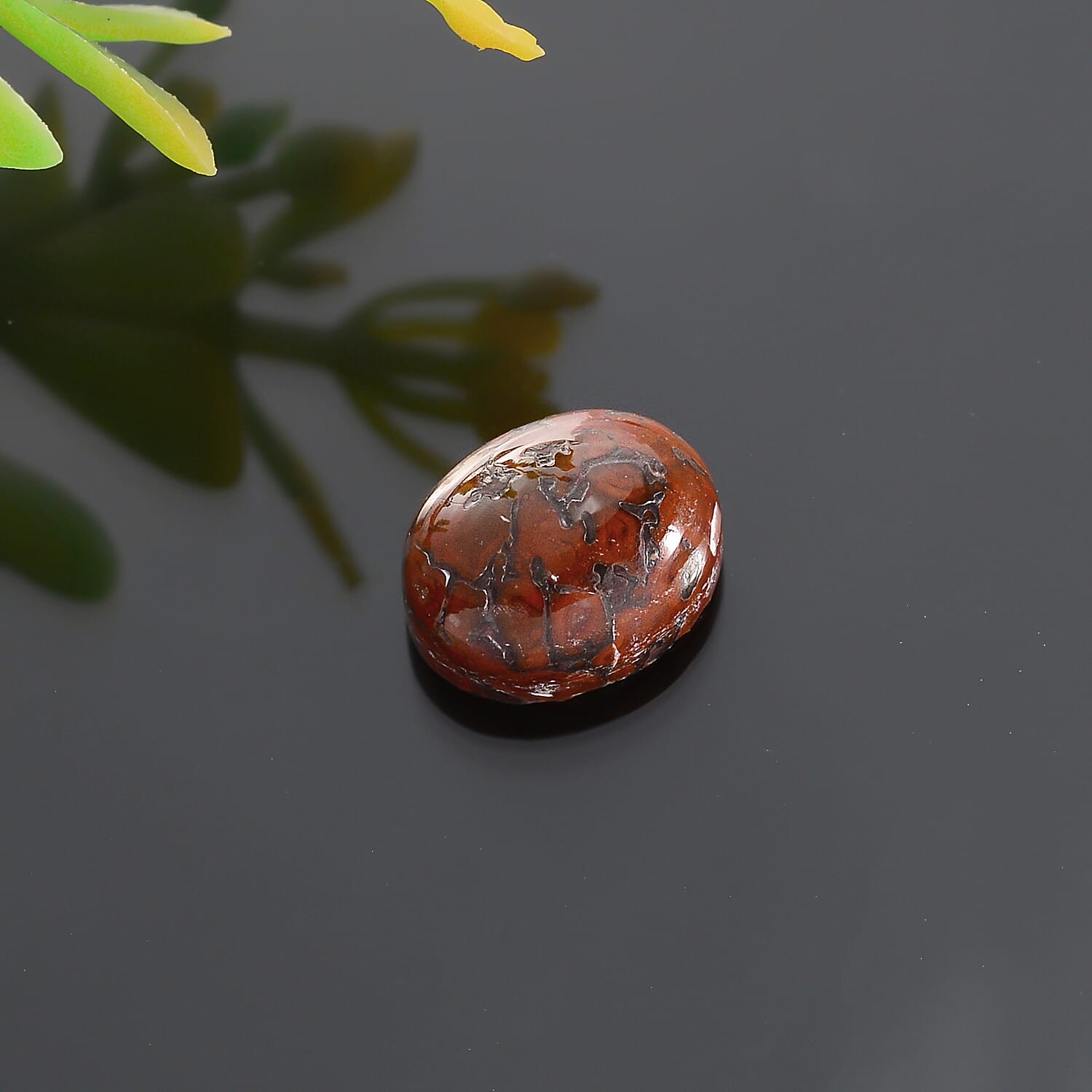 Dino Gem Bone (Ovl 10x8 mm) 2.34 ctw