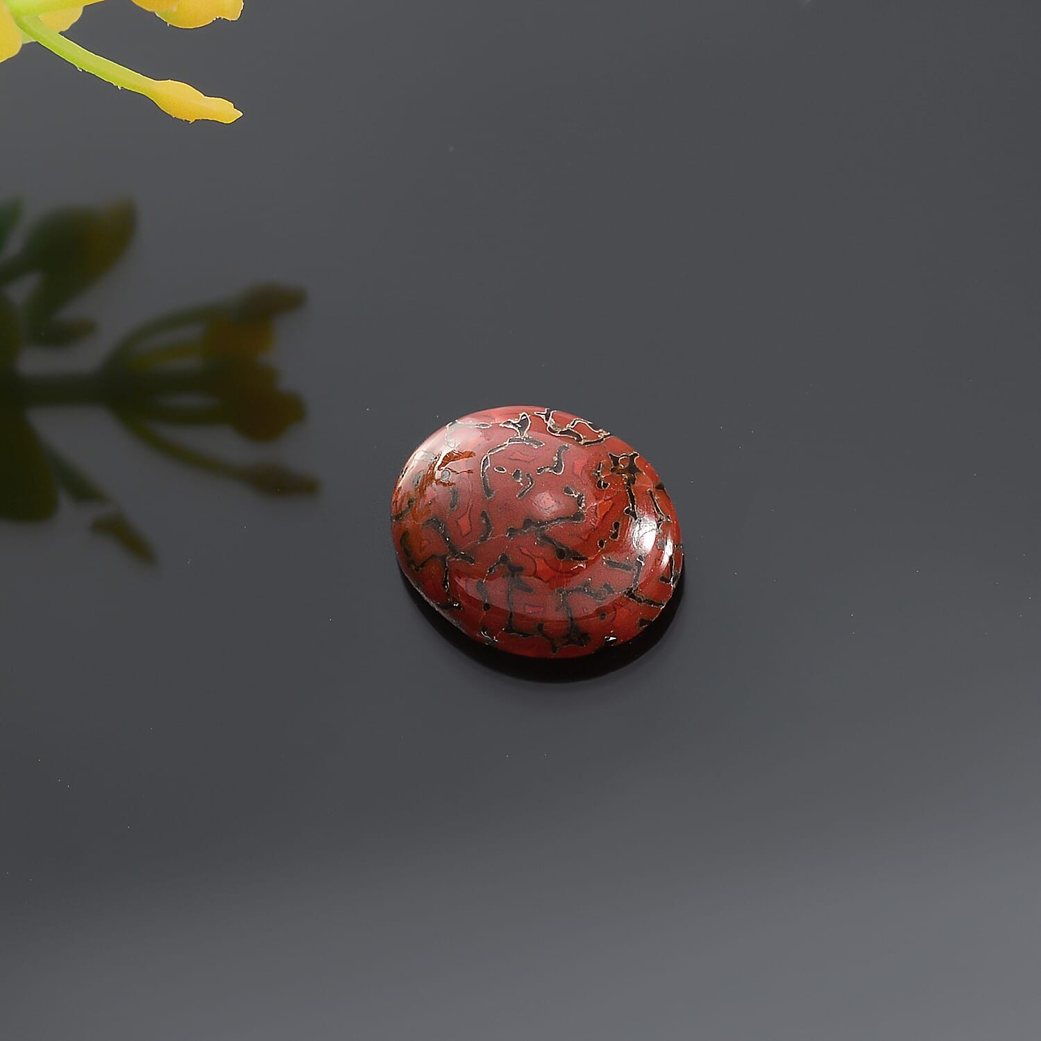 Dino Gem Bone (Ovl 11x9 mm) 2.60 ctw