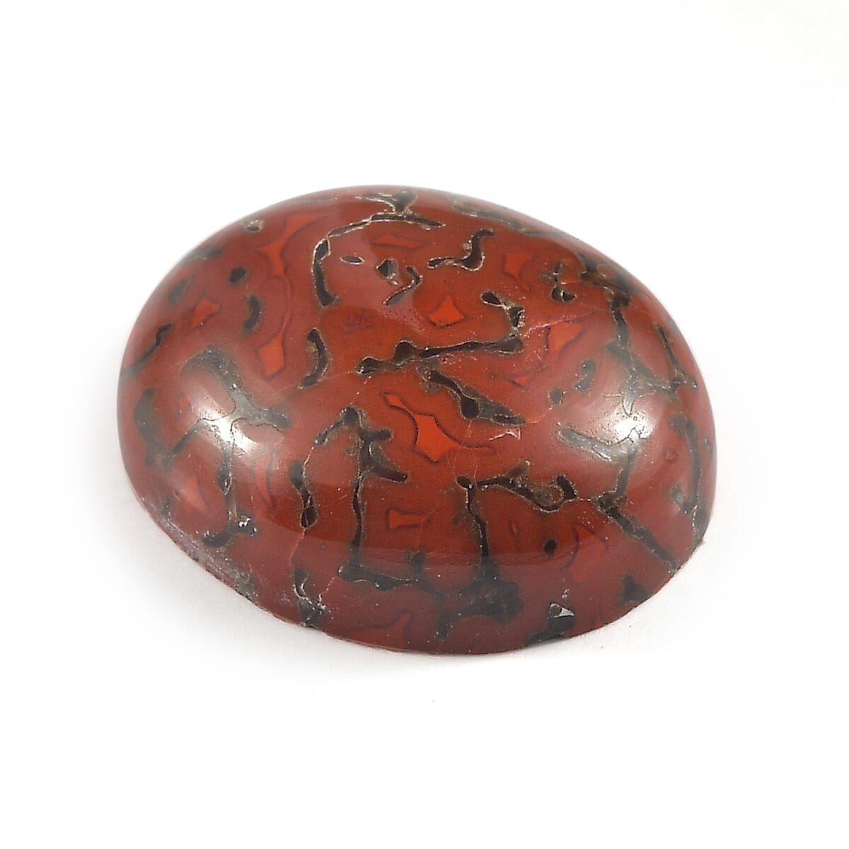 Dino Gem Bone (Ovl 11x9 mm) 2.60 ctw