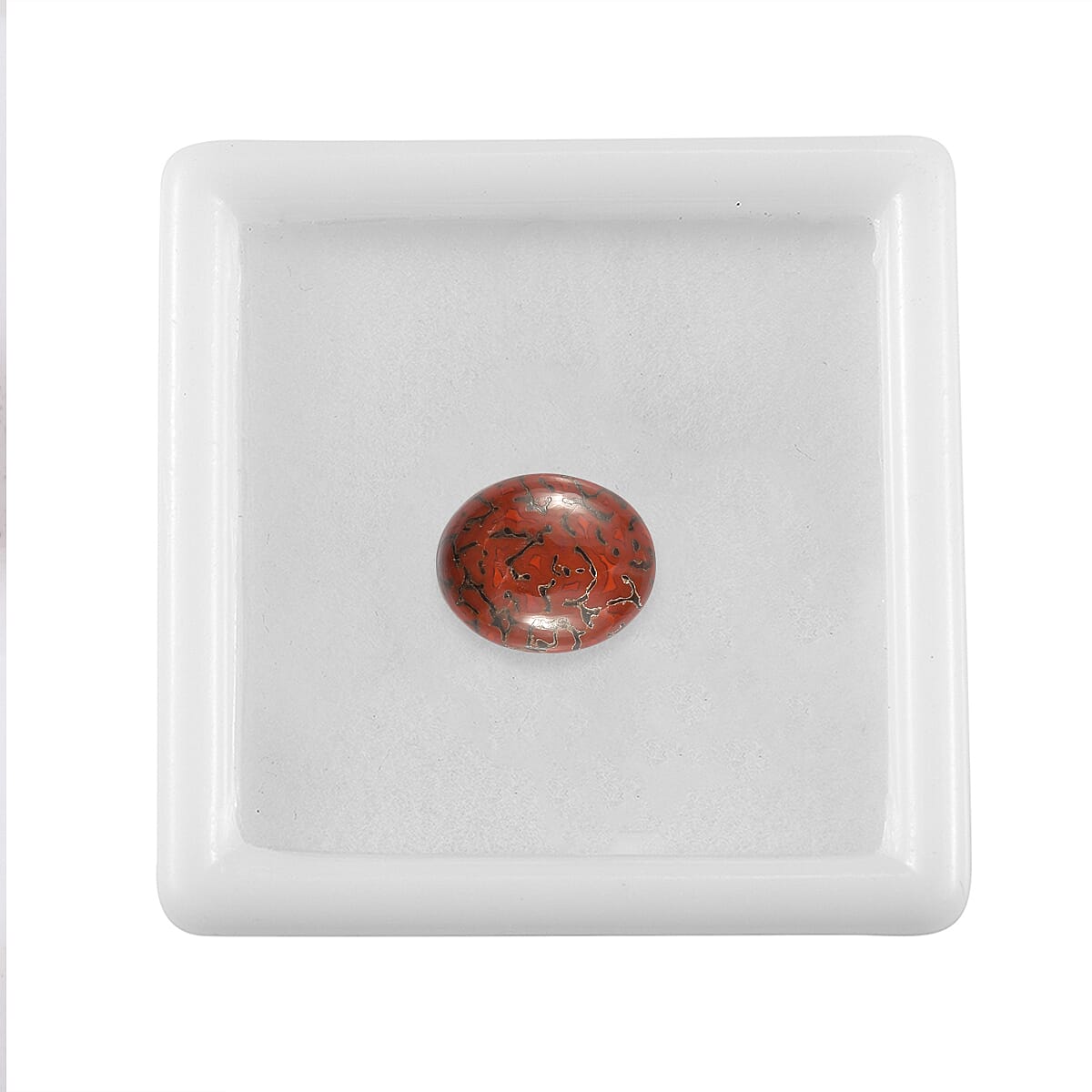 Dino Gem Bone (Ovl 11x9 mm) 2.60 ctw