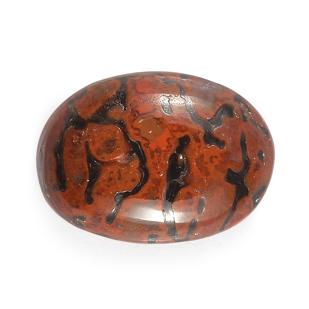 Dino Gem Bone (Ovl 7x5 mm) 0.73 ctw