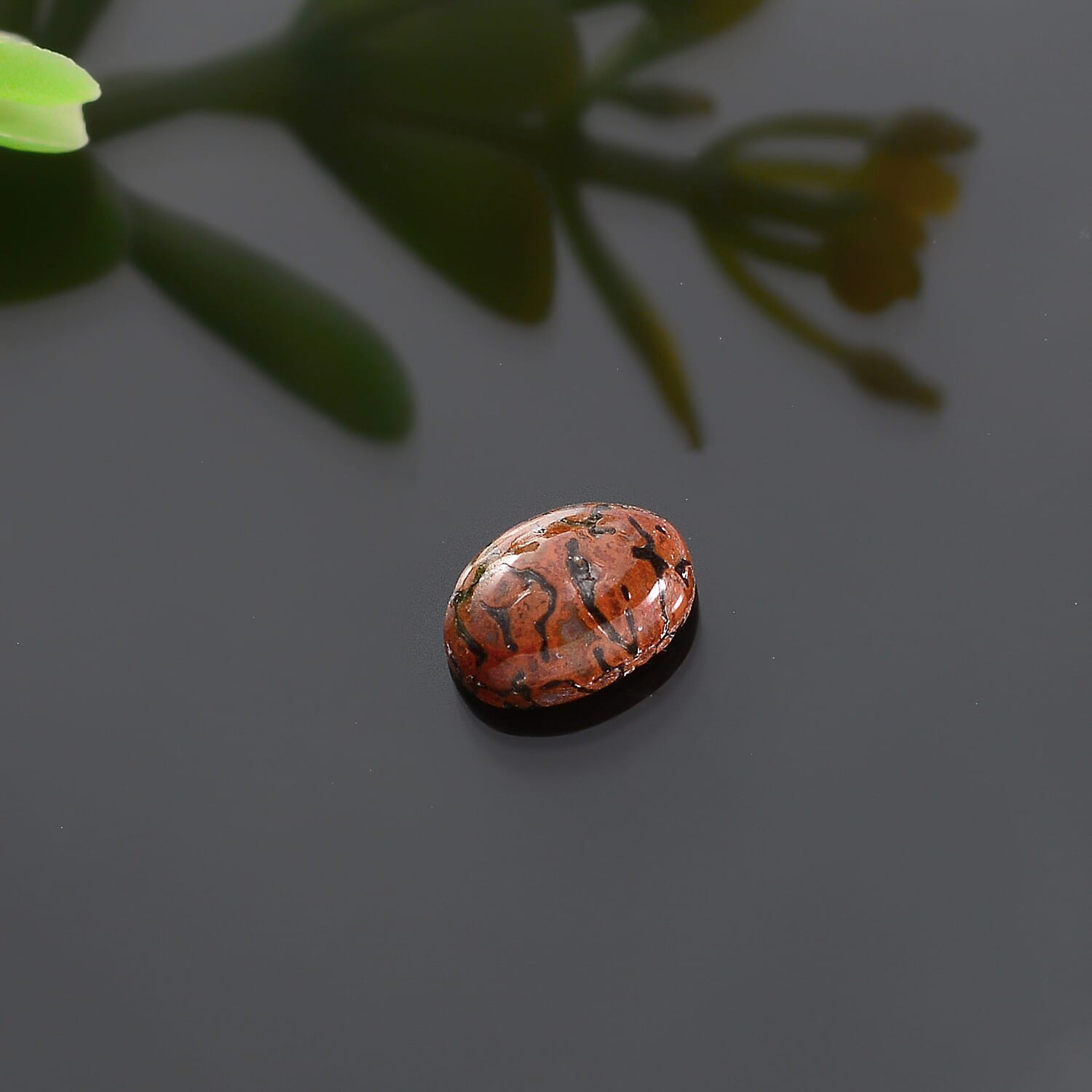 Dino Gem Bone (Ovl 7x5 mm) 0.73 ctw