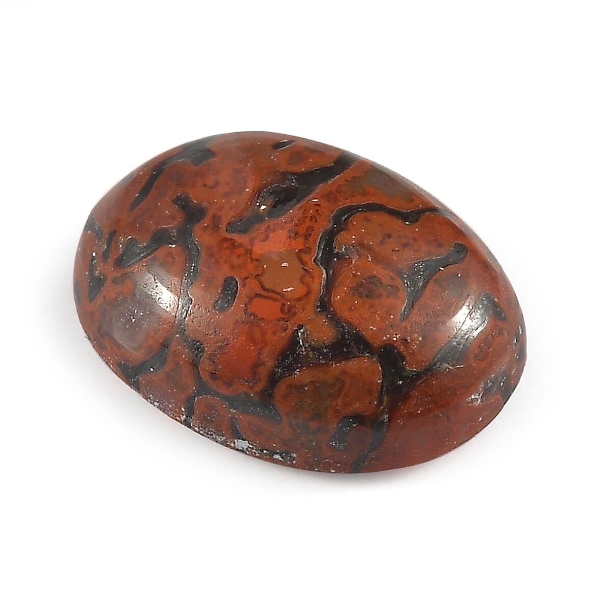 Dino Gem Bone (Ovl 7x5 mm) 0.73 ctw