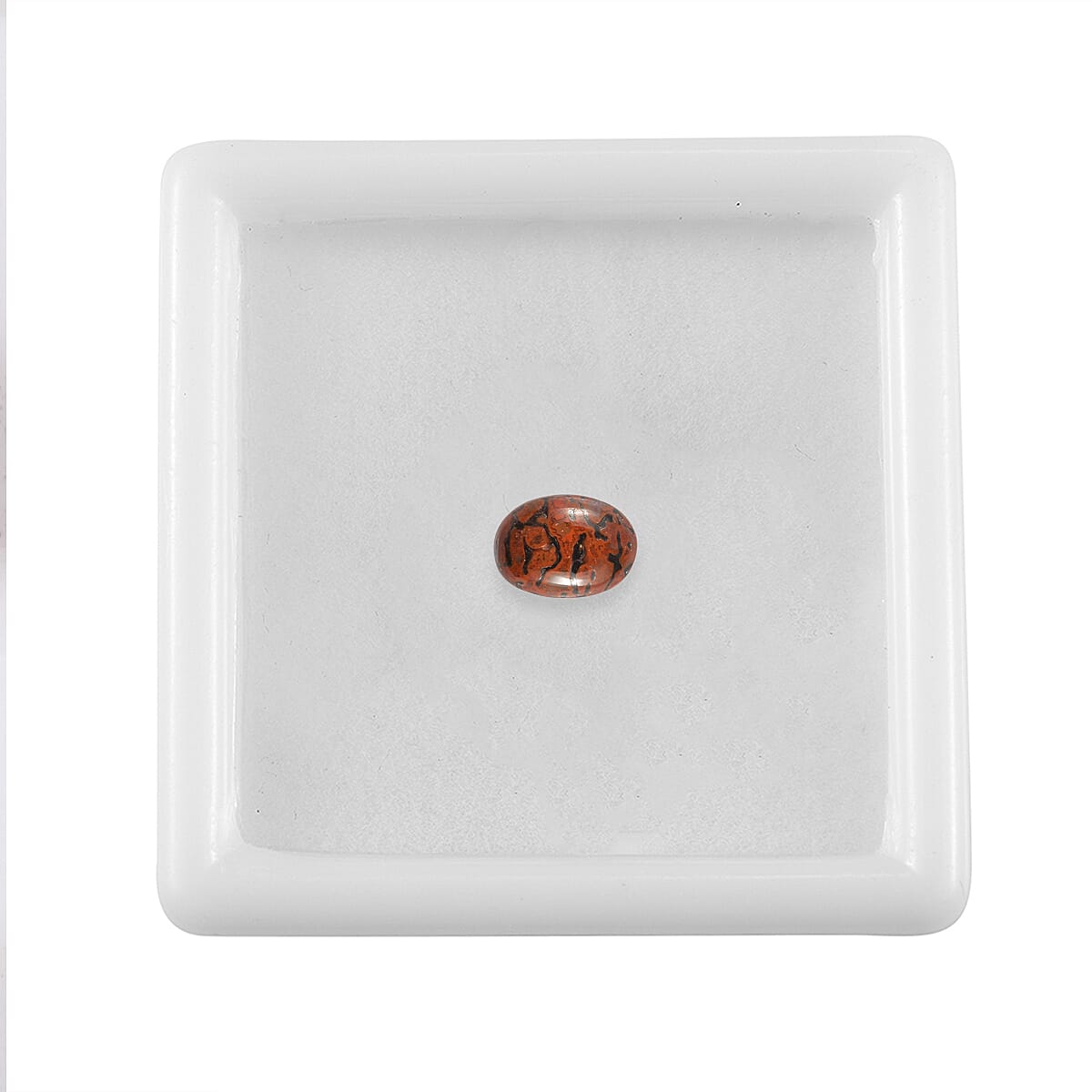 Dino Gem Bone (Ovl 7x5 mm) 0.73 ctw