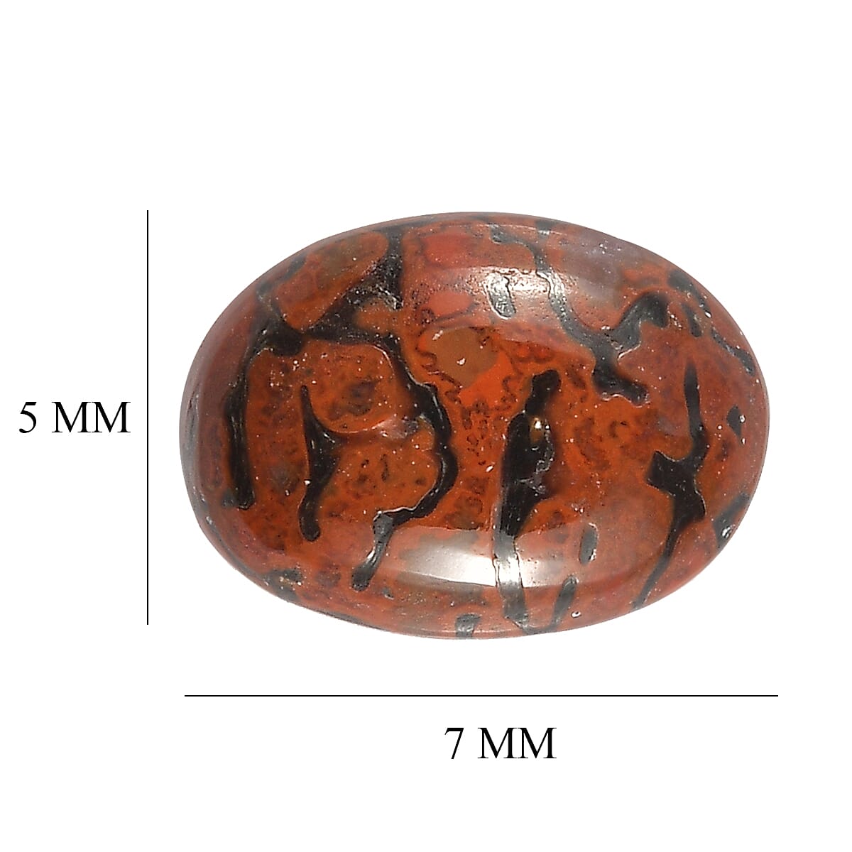 Dino Gem Bone (Ovl 7x5 mm) 0.73 ctw