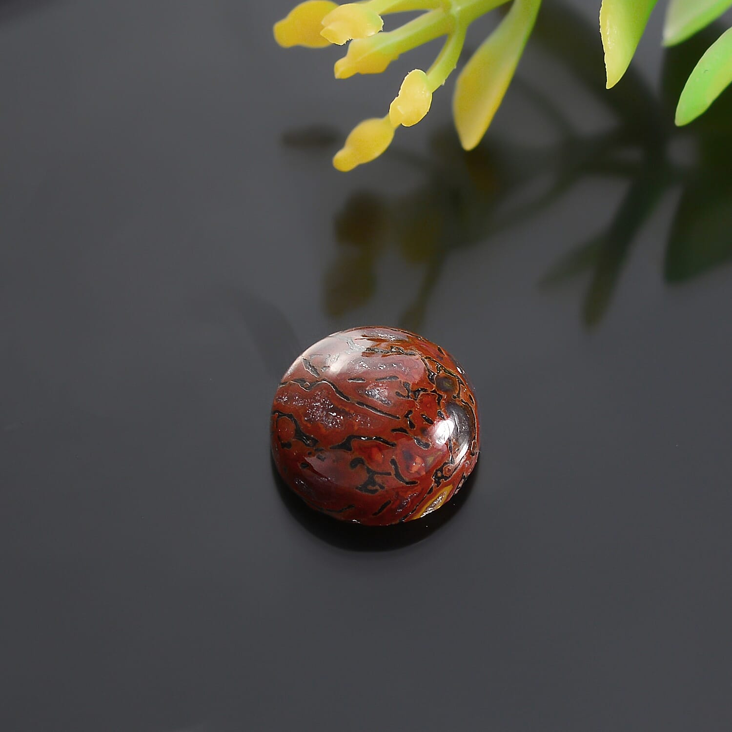 Dino Gem Bone (Rnd 10 mm) 3.68 ctw
