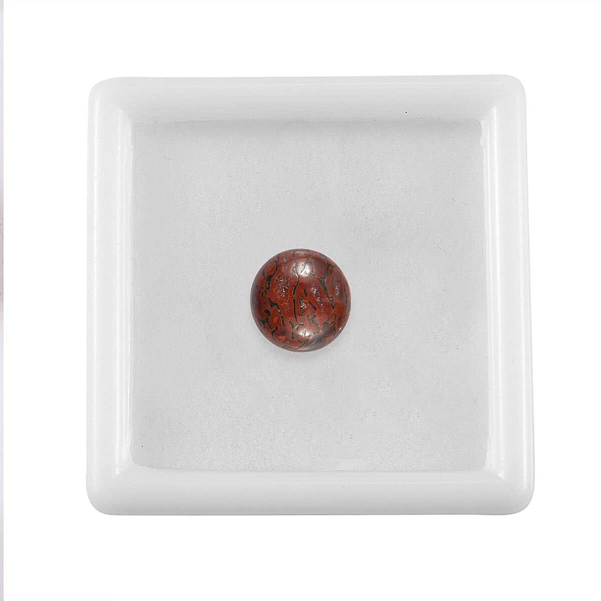 Dino Gem Bone (Rnd 10 mm) 3.68 ctw