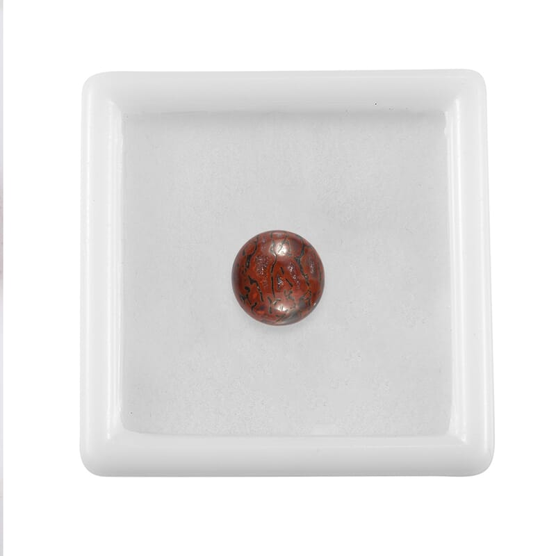 Dino Gem Bone (Rnd 10 mm) 3.68 ctw