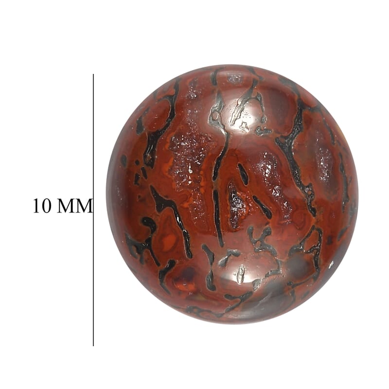 Dino Gem Bone (Rnd 10 mm) 3.68 ctw