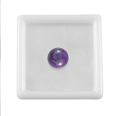 Default Title - Product card gallery slide 4 (10178511470905)