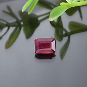 Niassa Ruby (FF) (Oct 8x6 mm) 2.09 ctw