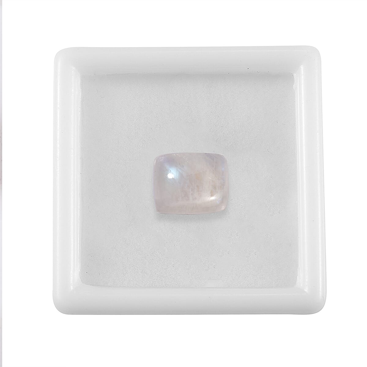 Rainbow Moonstone (Cush 12x10 mm) 4.67 ctw