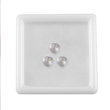 Default Title - Product card gallery slide 4 (10178518548793)
