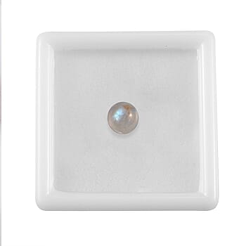 Default Title - Product card gallery slide 4 (10178519400761)