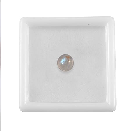 Default Title - Product card gallery slide 4 (10178519400761)