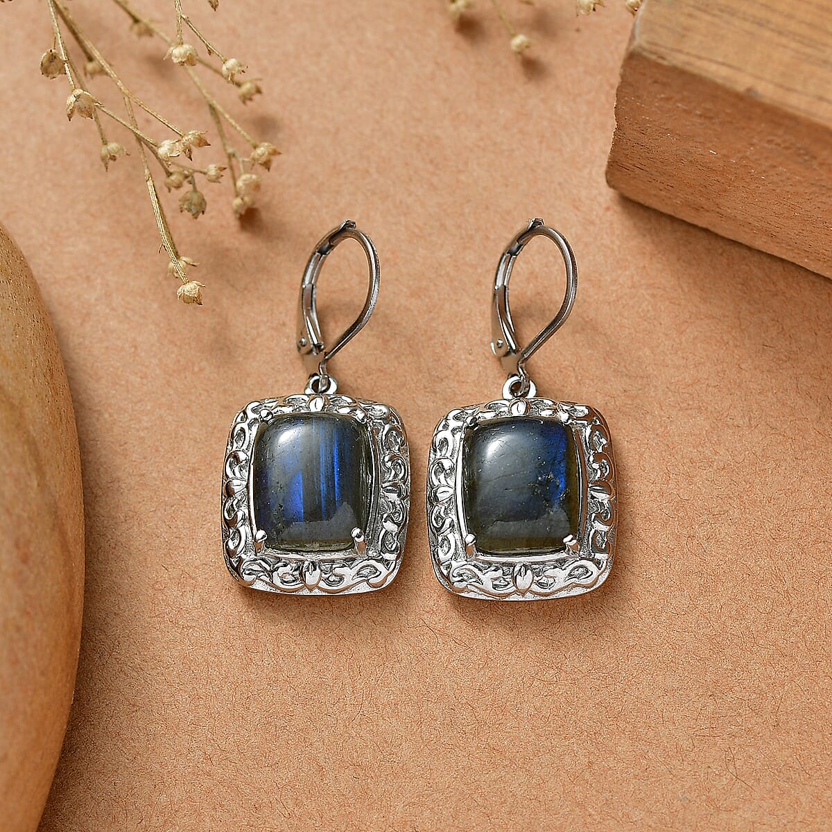 EverTrue Malagasy Labradorite 12.60 ctw Lever Back Earrings in Stainless Steel image number 1