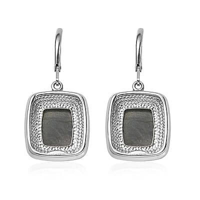 EverTrue Malagasy Labradorite 12.60 ctw Lever Back Earrings in Stainless Steel