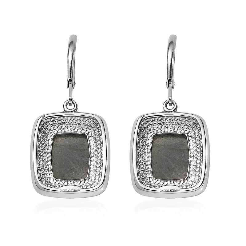 EverTrue Malagasy Labradorite 12.60 ctw Lever Back Earrings in Stainless Steel