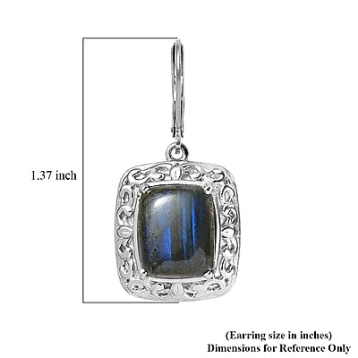 EverTrue Malagasy Labradorite 12.60 ctw Lever Back Earrings in Stainless Steel