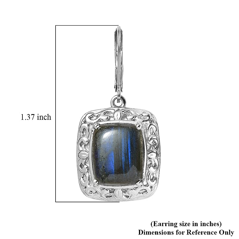 EverTrue Malagasy Labradorite 12.60 ctw Lever Back Earrings in Stainless Steel