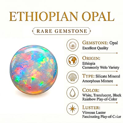 D'Joy Premium Ethiopian Welo Opal and Multi Gemstone 1.90 ctw Opaline Blossom Earrings in Rhodium Over Sterling Silver