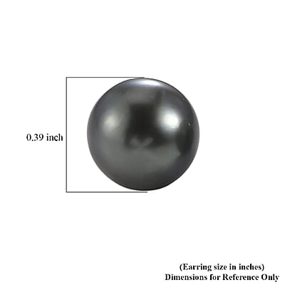 Rare Find Celebrity Choice Premium Tahitian Pearl Drop Stud Earrings in 10K Yellow Gold