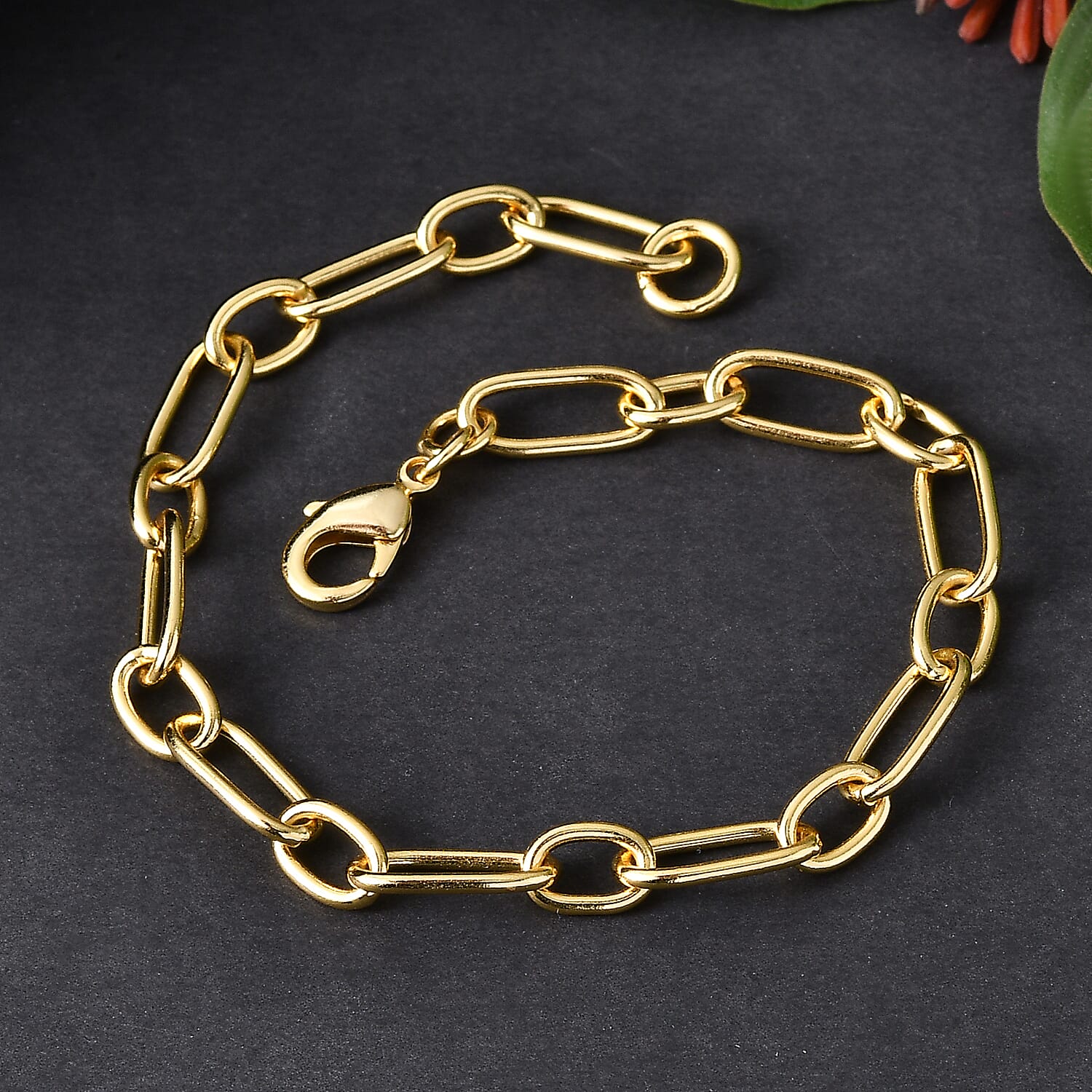 EverTrue Bronzella Collection Paperclip Link Chain Bracelet in 18K YG Plated Bronze (7.25 In)