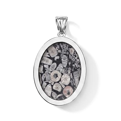 Insect Fossil Jasper 50.00 ctw Oval Pendant in Silvertone