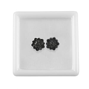 Silver Constituted Shungite Set of 2 (Fancy Free Size) 48.45 ctw