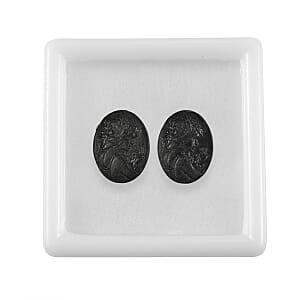 Silver Constituted Shungite Set of 2 (Fancy Free Size) 29.94 ctw