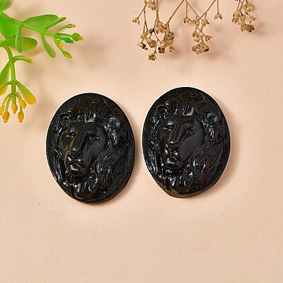 Constituted Silver Shungite Set of 2 (Fancy Free Size) 68.37 ctw
