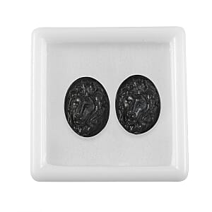 Constituted Silver Shungite Set of 2 (Fancy Free Size) 68.37 ctw