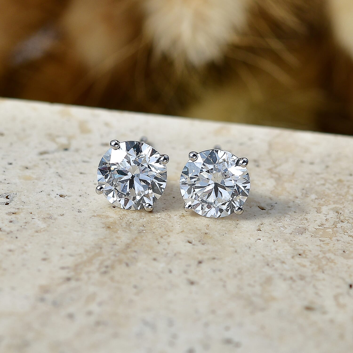 SGL Certified Luxuriant Lab Grown Diamond G-H SI 3.00 ctw Solitaire Stud Earrings in 10K White Gold