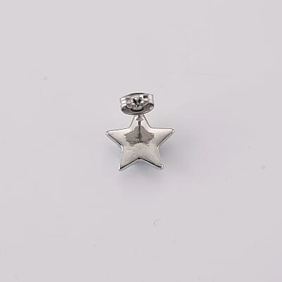 Magnesite 5.30 ctw Earrings in Silvertone