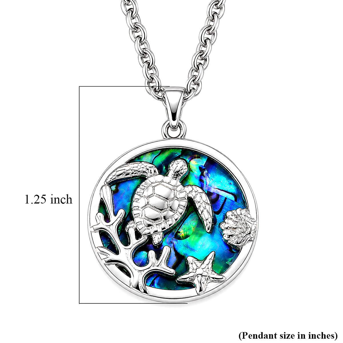 Abalone Shell Turtle in Round Shape Pendant Necklace in Stainless Steel 20 Inches image number 5