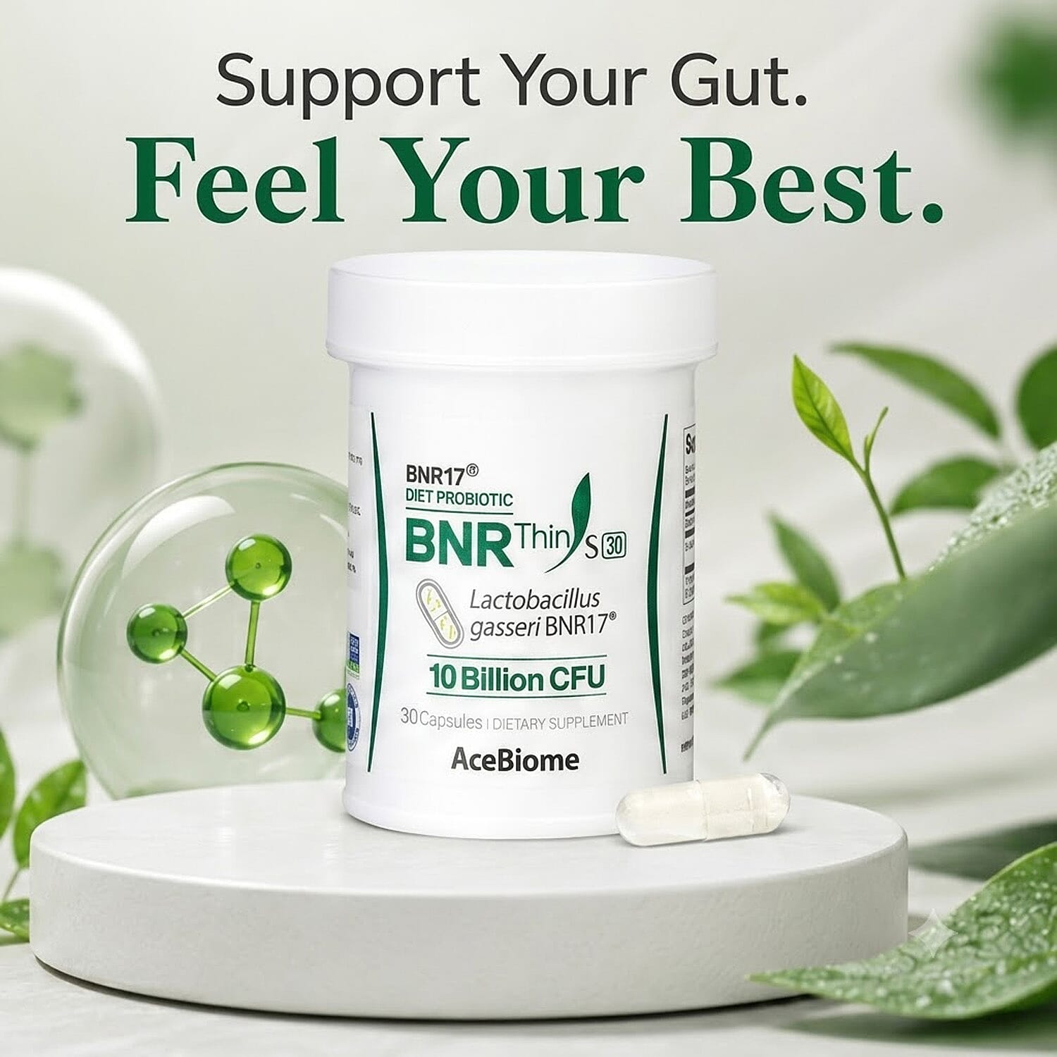 BNR17 Diet Probiotic BNR Thins Dietary Supplement (30 Capsules)