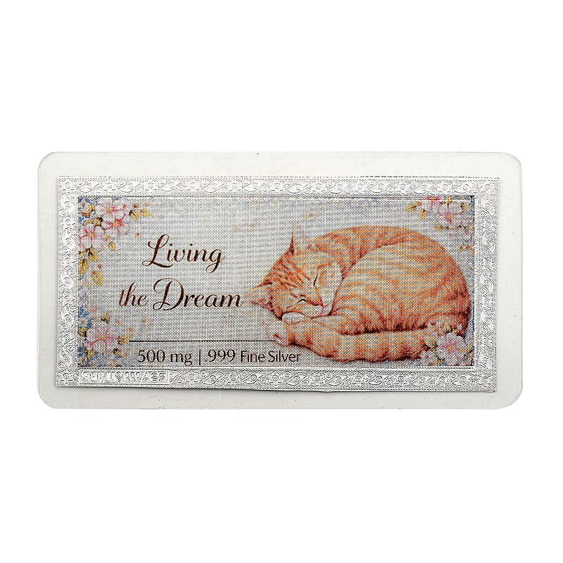 999 Fine Silver Living The Dream Embossed Bar 500 mg
