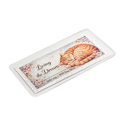 999 Fine Silver Living The Dream Embossed Bar 500 mg