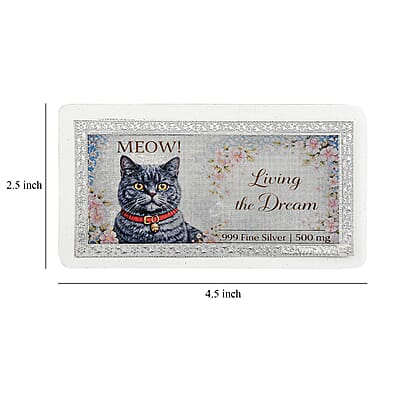 999 Fine Silver Living The Dream Embossed Bar 500 mg