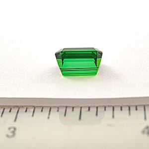 Limited Edition Certified and Appraised AAAA Chrome Tourmaline (Oct 10x8 mm) 4.00 ctw