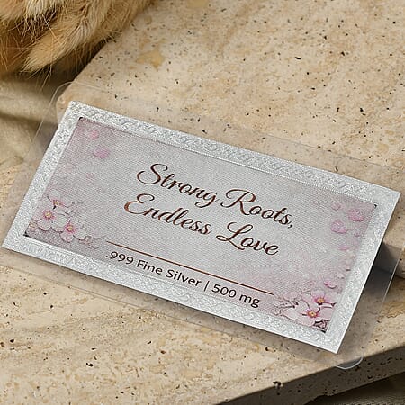Silver - Product card gallery slide 2 (10202014449977)