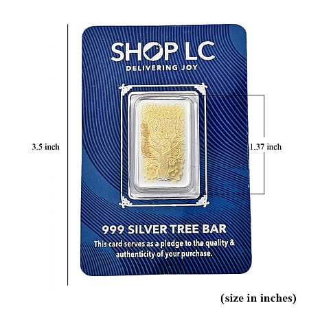 Silver - Product card gallery slide 4 (10203000865081)