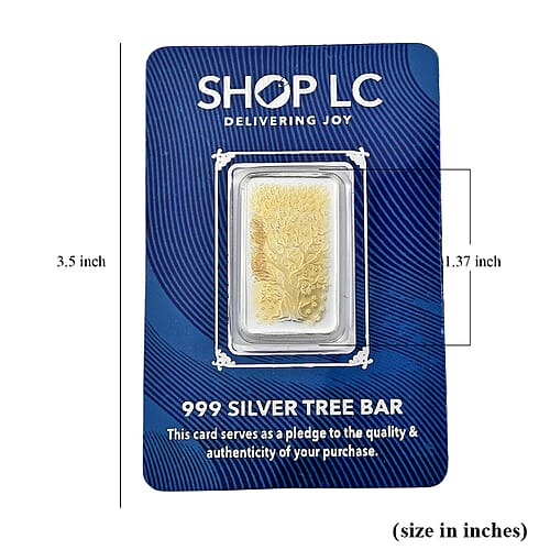 Silver - Product card gallery slide 4 (10203000865081)